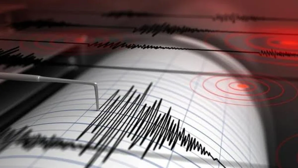 BMKG Konfirmasi Gempa Susulan di Poso: 113 Guncangan Tercatat