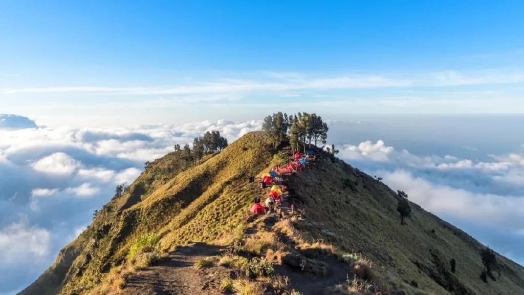 Penutupan Jalur Pendakian Gunung Rinjani Pasca Insiden Turis Asing Jatuh